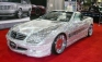 Mercedes SL600 Silver by DAD